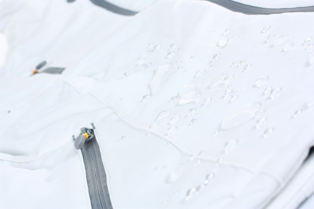 ������ �������� ������� SAVANNAH, ������