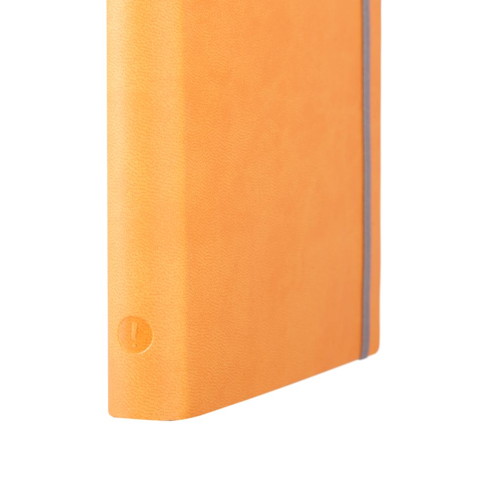 ���������� Vivien, ��������������, ���������