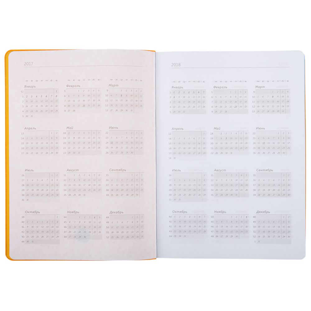 ���������� Jungle, ��������������, �������