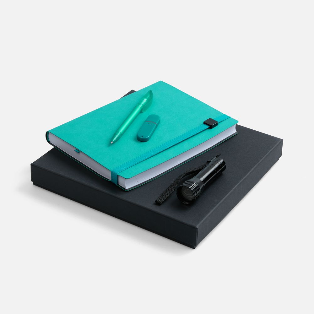 ����� Vivid Maxi, ���������