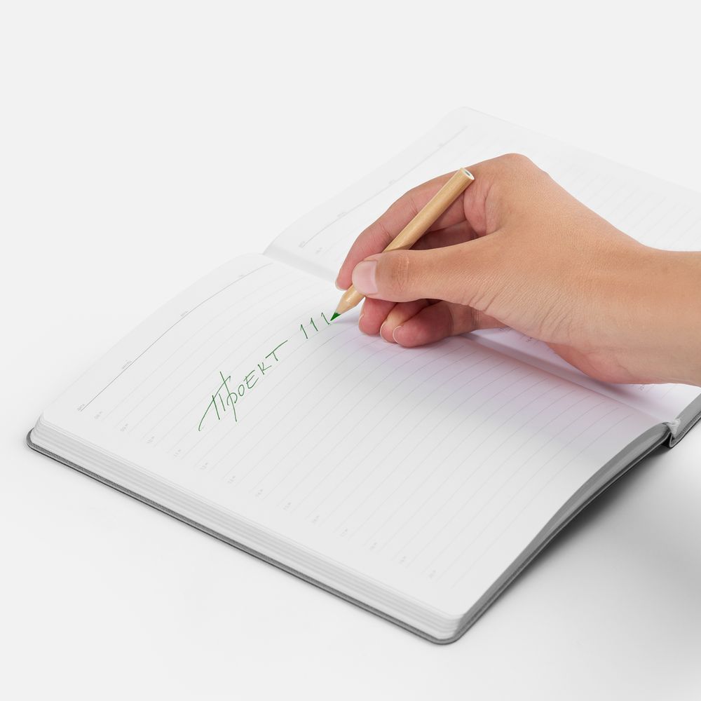 ����� ���������� Pencilvania Mini