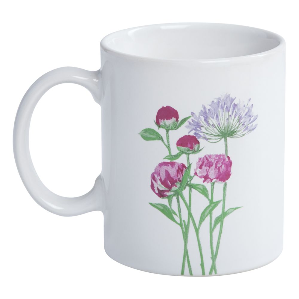 ����� ���������, �������