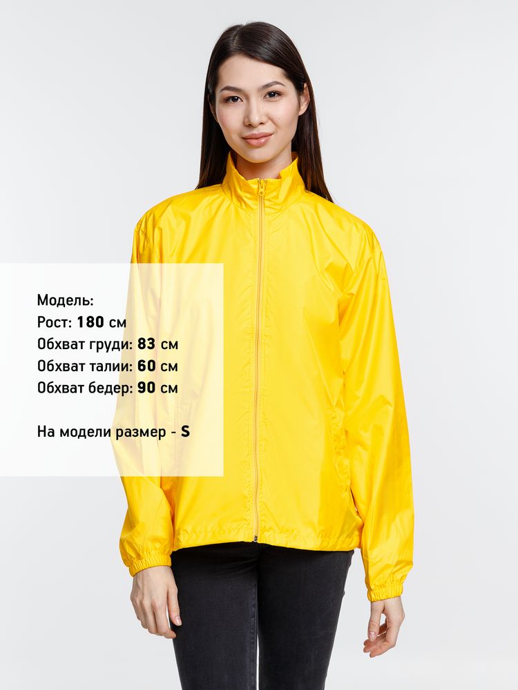 �������� Unit Kivach, ������