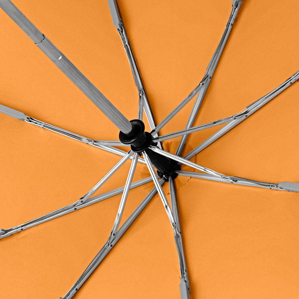 ���� �������� AOC, ���������