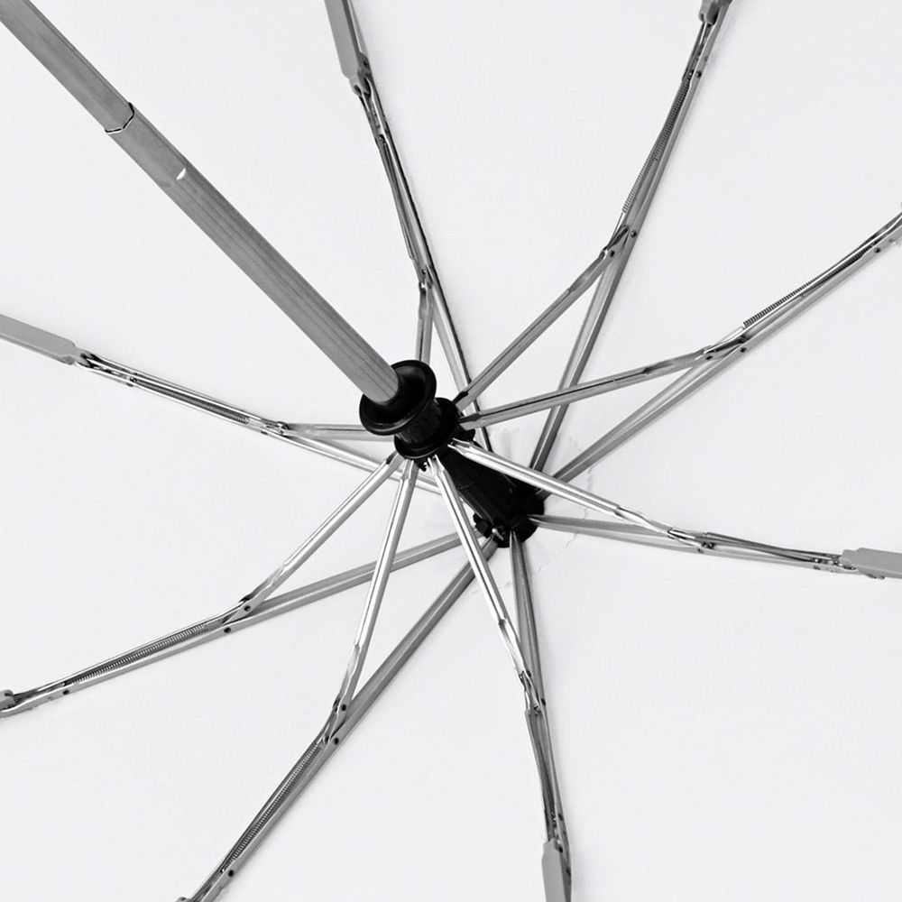 ���� �������� AOC, �����