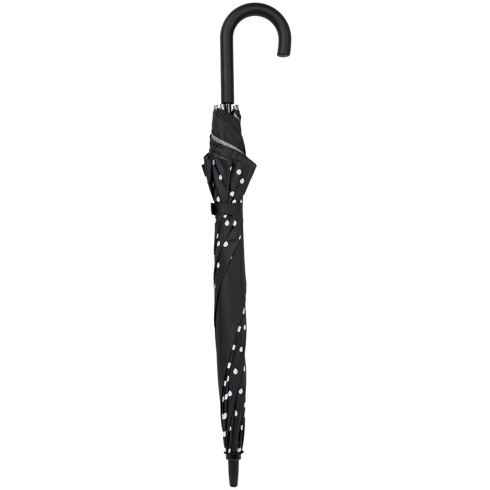 ����-������ Polka Dot