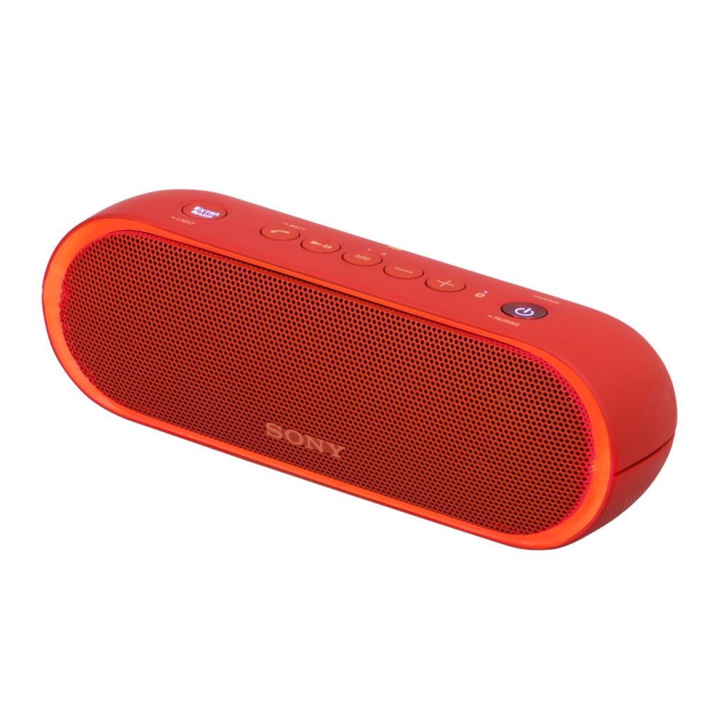 ������������ ������� Sony SRS-20, �������