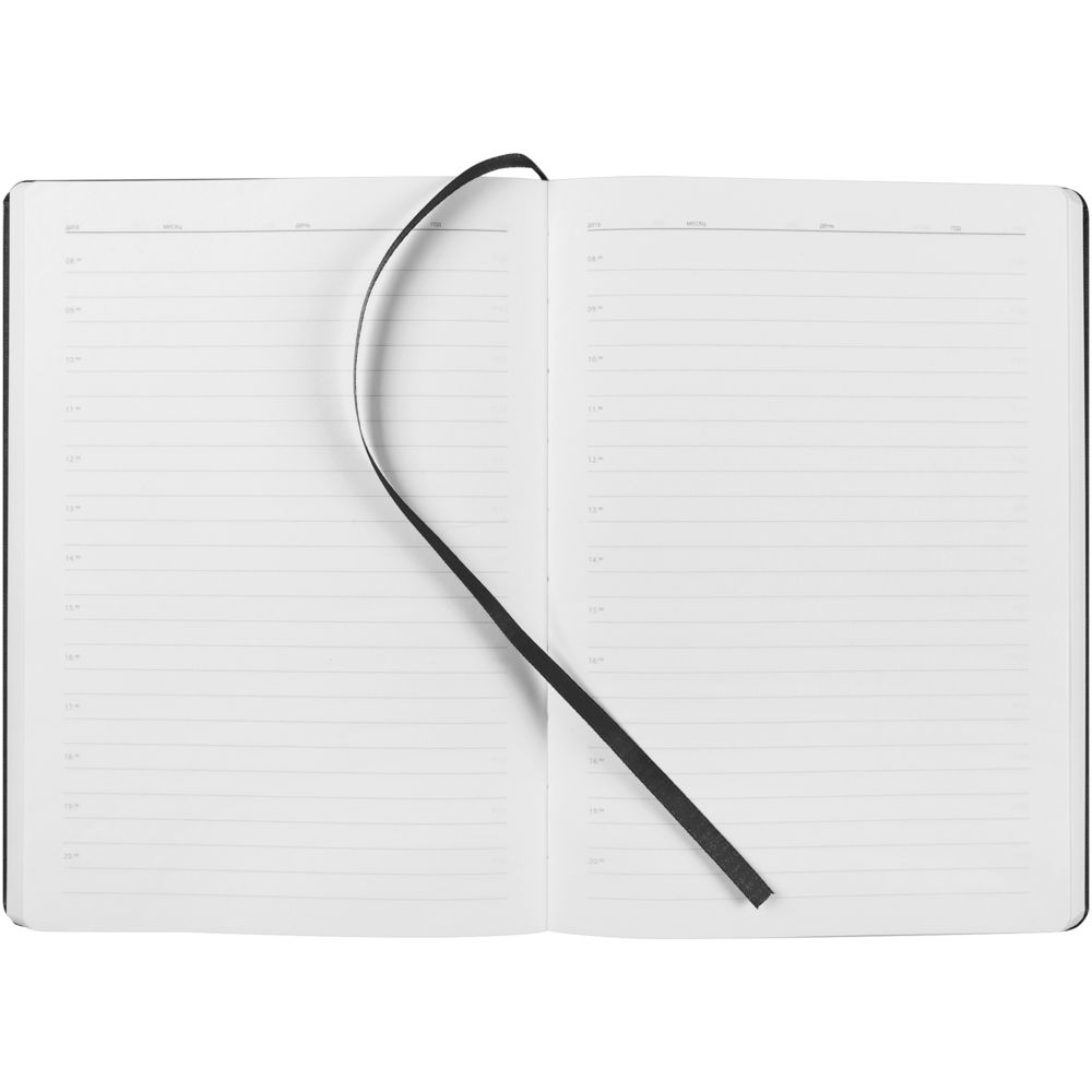 ���������� New Brand, ��������������, ������