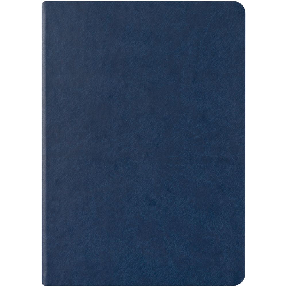 ���������� New Brand, ��������������, �����