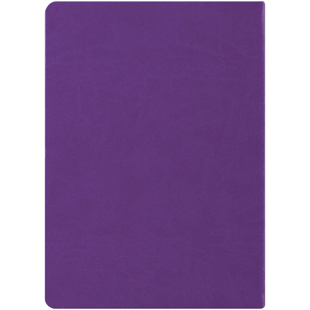 ���������� New Brand, ��������������, ����������