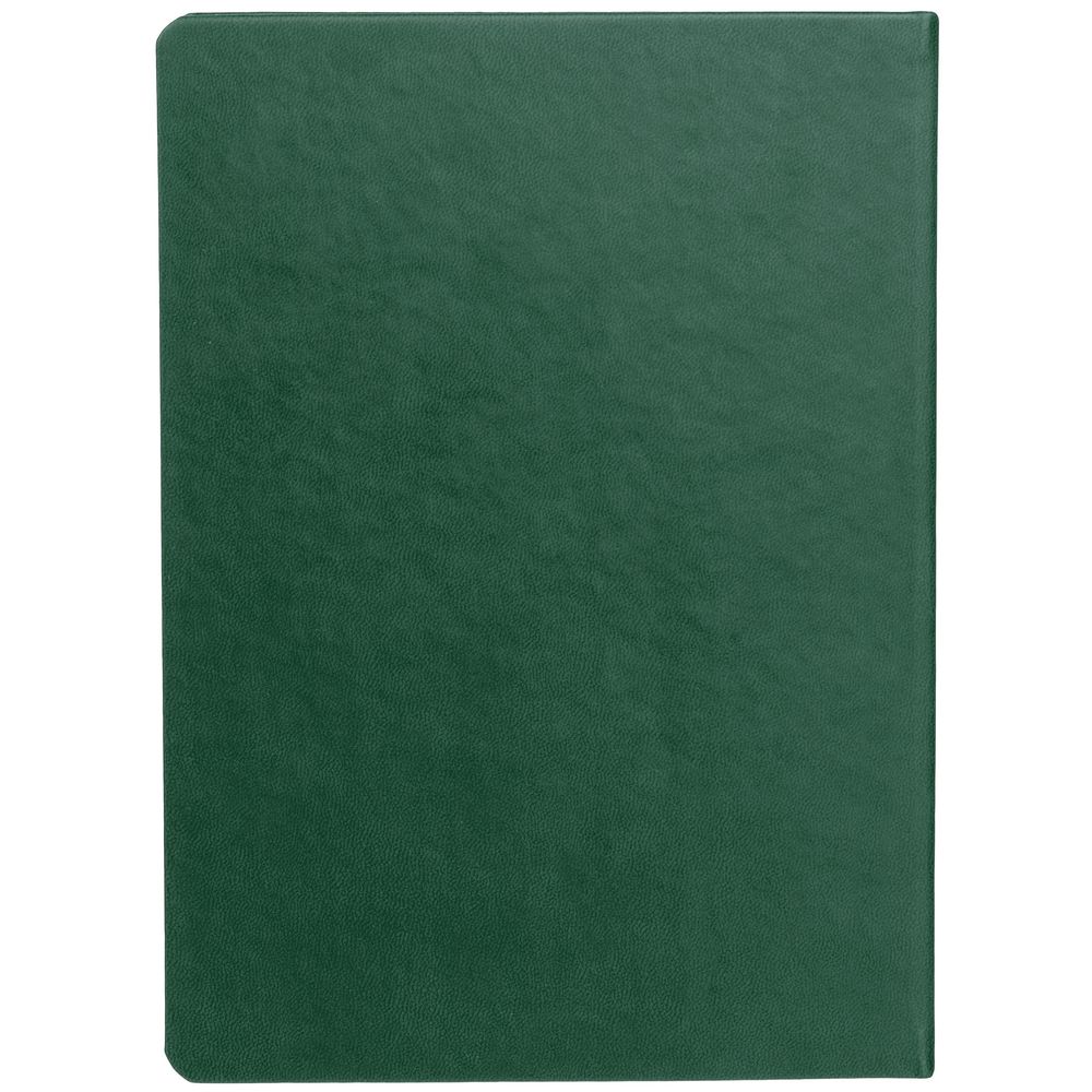 ���������� New Brand, ��������������, �������