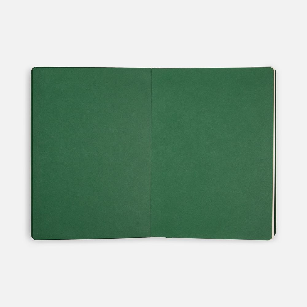 ���������� Shall, ��������������, �������