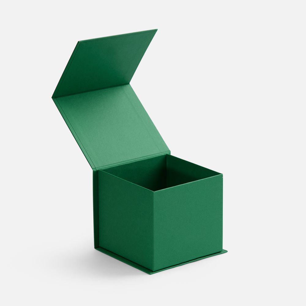 ������� Alian, �������