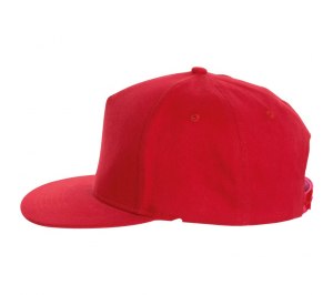 ��������� SONIC, �������