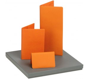 ����� Devon, ���������