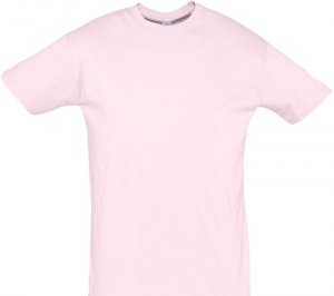 �������� REGENT 150, ������-�������