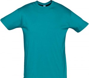 �������� REGENT 150, ��������� �����