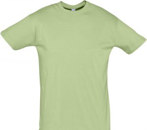 �������� REGENT 150, ����