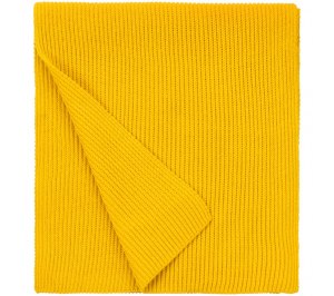 ���� Life Explorer, ������