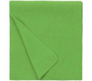 ���� Life Explorer, �������