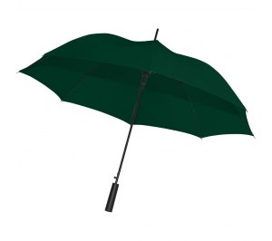 ����-������ Dublin, �������