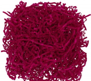 �������� ����������� Chip Exclusive, ��������� �������