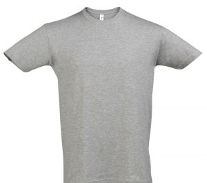 �������� REGENT 150, ������ ������