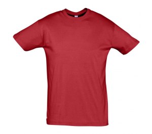 �������� REGENT 150, �������