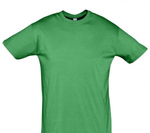 �������� REGENT 150, ����-�������