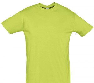 �������� REGENT 150, ������� ������