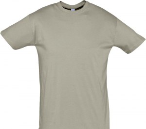 �������� REGENT 150, ����