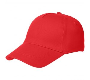 ��������� Convention, �������