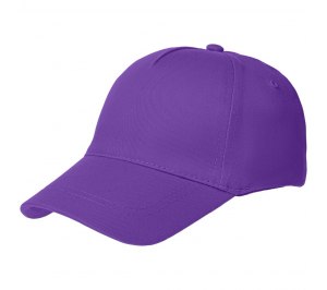 ��������� Convention, ����������