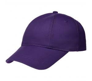 ��������� ������� Capture Kids, ����������