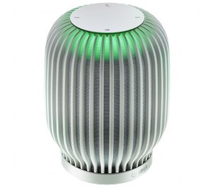 ����� ������� SberBoom, �����