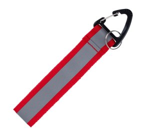 ��������������� ������ Flashline, ����� � �������