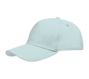 ��������� Standard, ����-�������