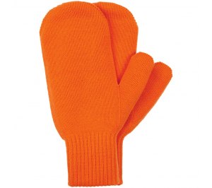 ������� Life Explorer, ���������