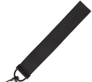 ������� Dominus, �, ������