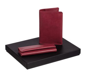 ����� Apache Passkey, �����-�������