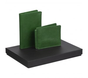 ����� Apache Billfold, �������