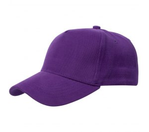 ��������� Standard, ����������