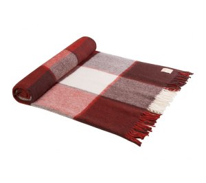 ���� ���������