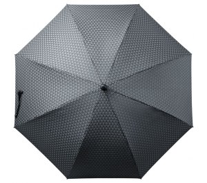 ���� Alessio, ������ � �����