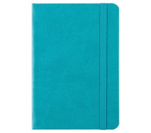 ������� Freenote Mini, � �������, ���������