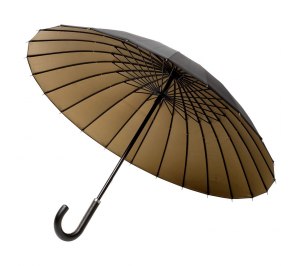 ����-������ Ella, ������ � ���������