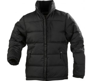 ������ ������� FREERIDE, ������