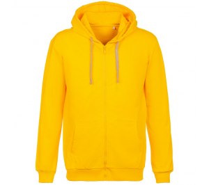 ��������� �� ������ � ��������� Unit Siverga, ������