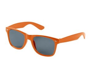 ���� �������������� Sundance, ���������