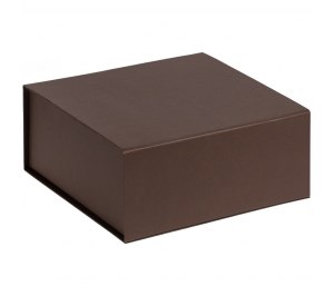 ������� Amaze, ����������